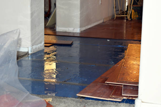 Professional Sewage Cleanup technician working in Harrisburg, IL